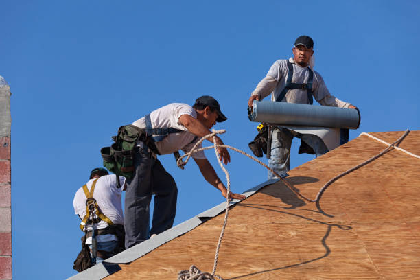 Best Gutter Installation and Roofing  in Ojus, FL