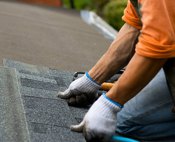 Best Commercial Roofing Services  in Ojus, FL